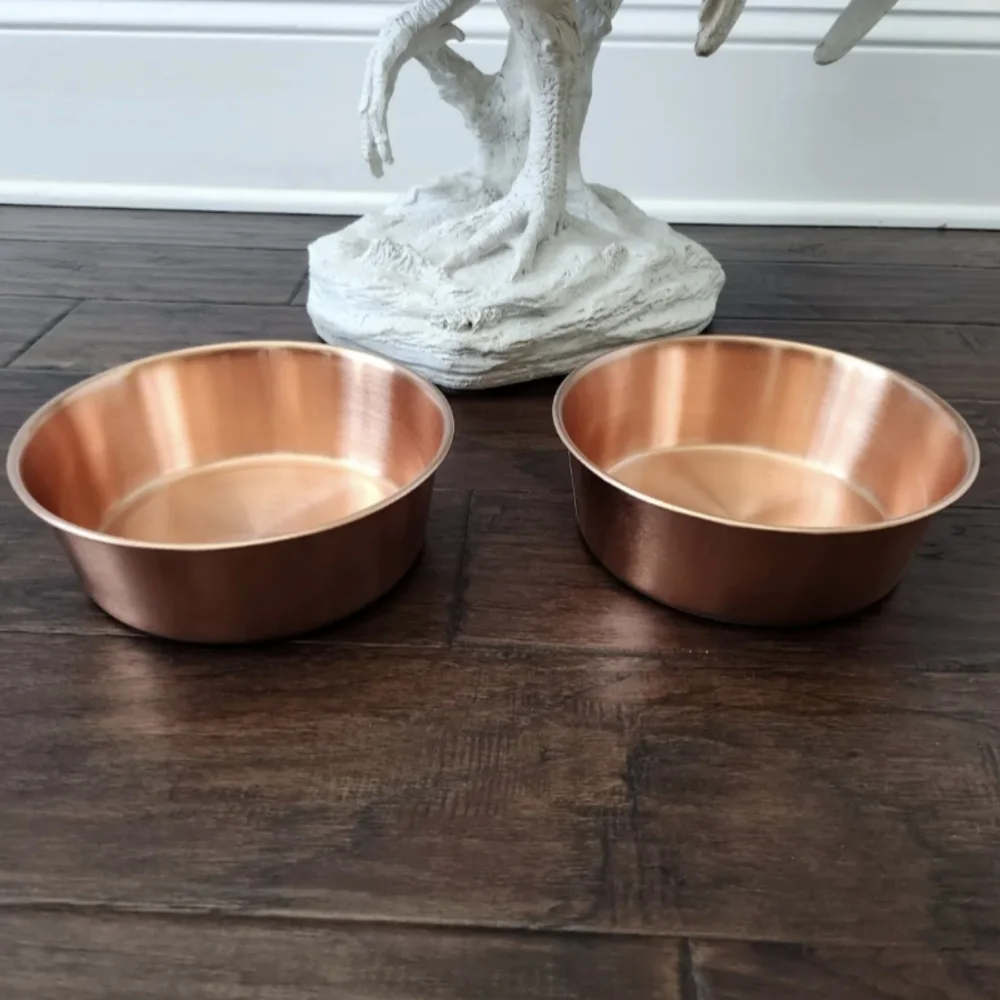 Boots & Barkley Stainless Steel Dog Bowl 1.5qt - 6 Cup Capacity (2 pack)